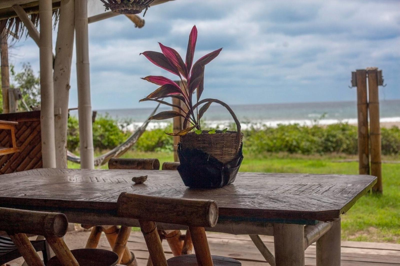 Kamala Surf & Backpacker Hostel Montanita Exterior photo